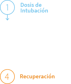 TwitchView-Trend-Key-espanol